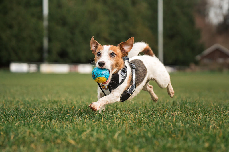 We love this, so will you