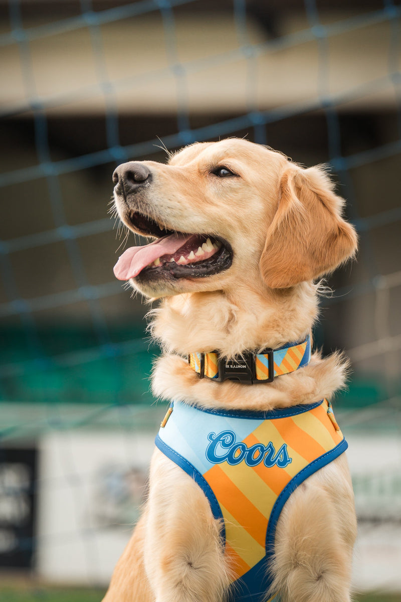 We love this, so will you