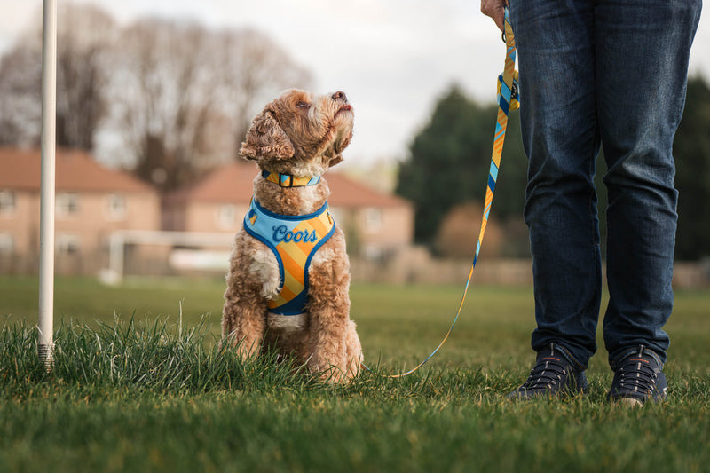 We love this, so will you