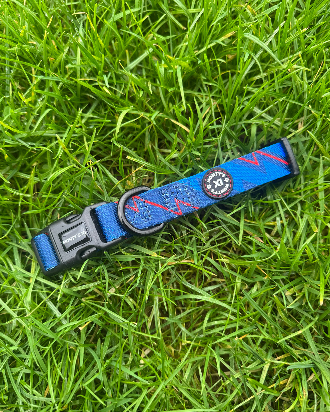 ComfortFit Collar - The Bolt