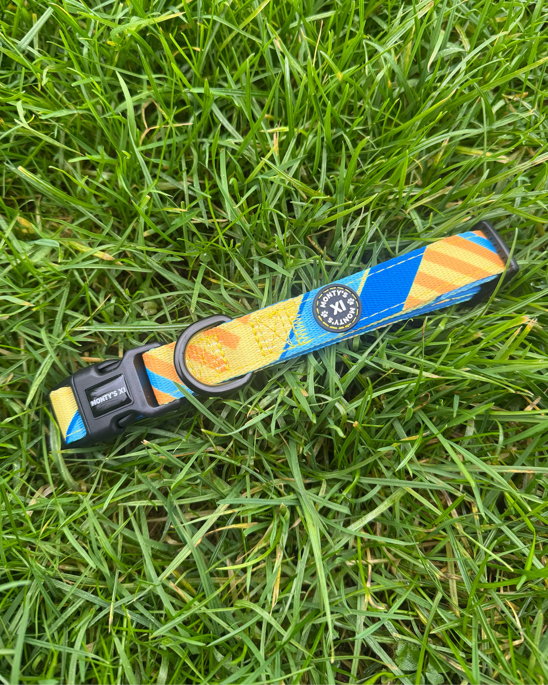 ComfortFit Collar - The Maestro