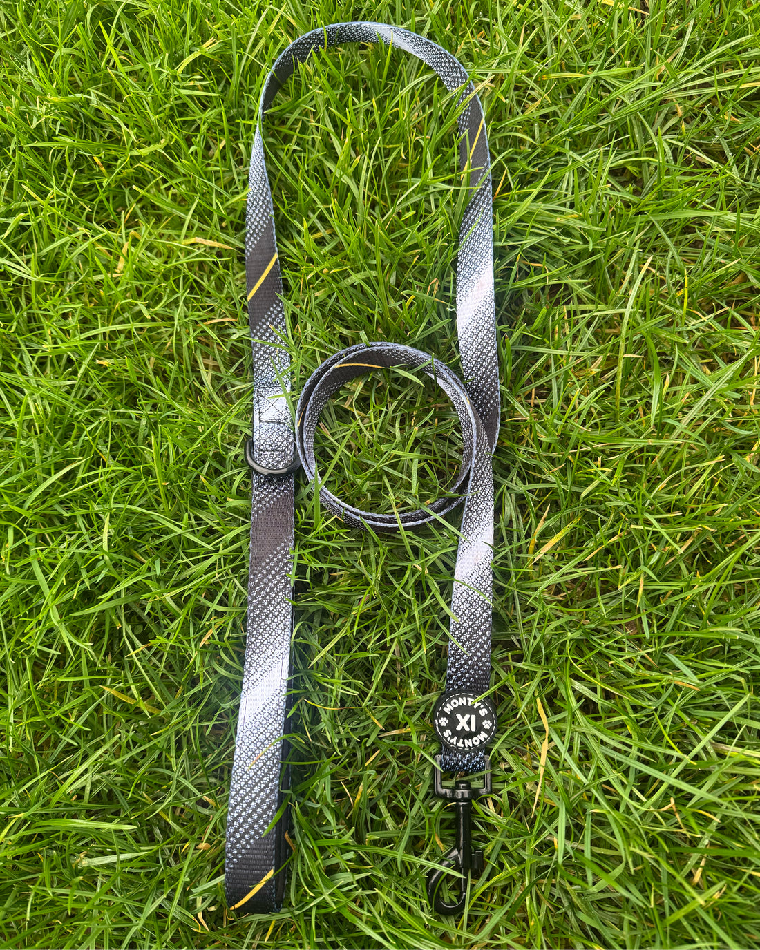 Dog Lead - The Poacher