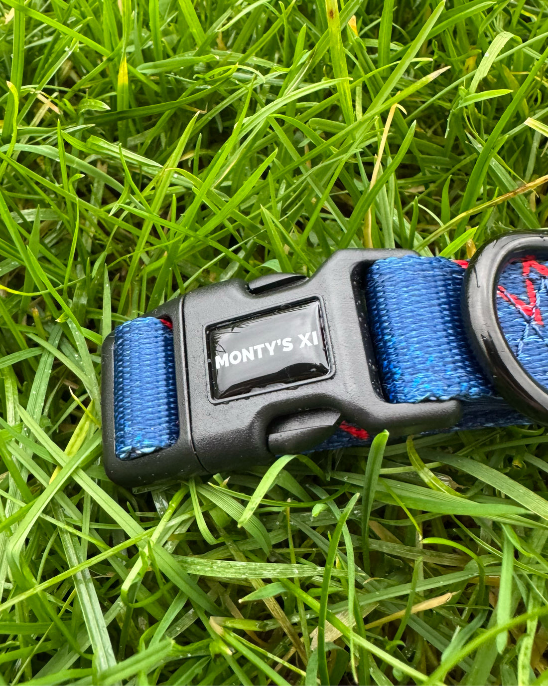 ComfortFit Collar - The Bolt