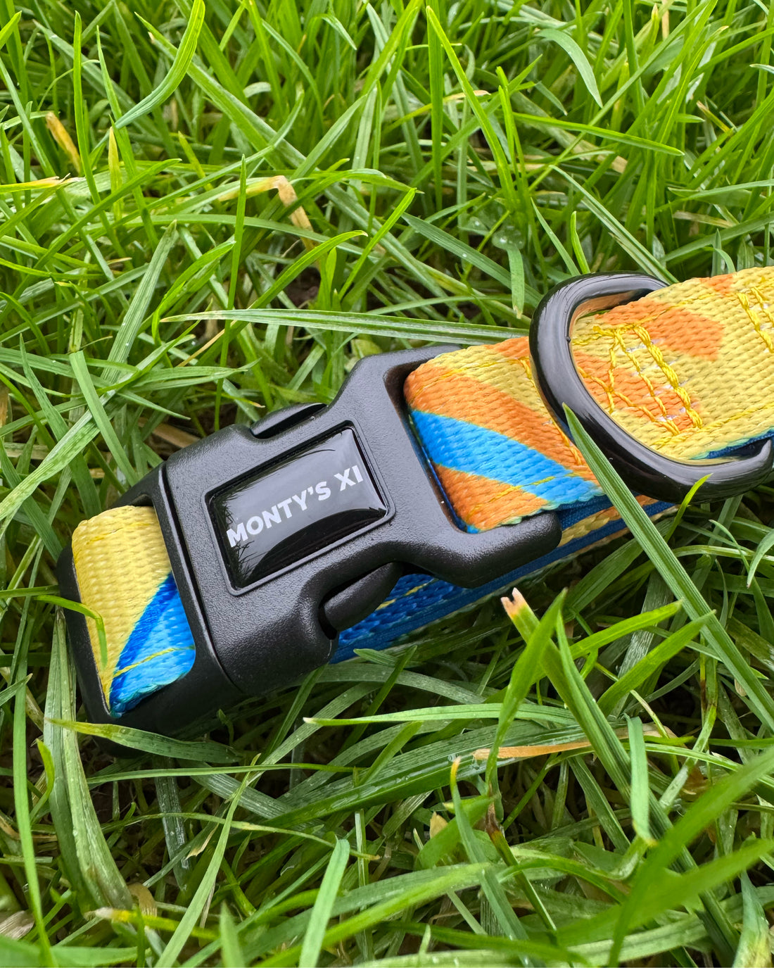 ComfortFit Collar - The Maestro