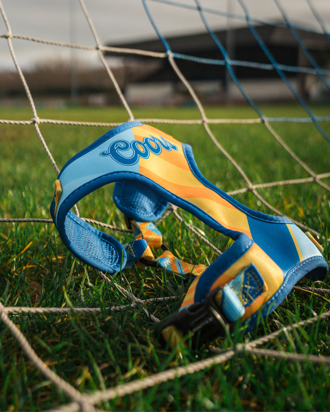 ProMotion Harness - The Maestro