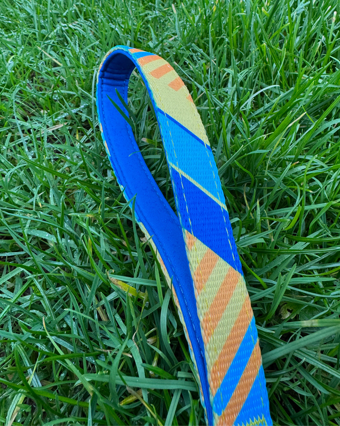 Dog Lead - The Maestro