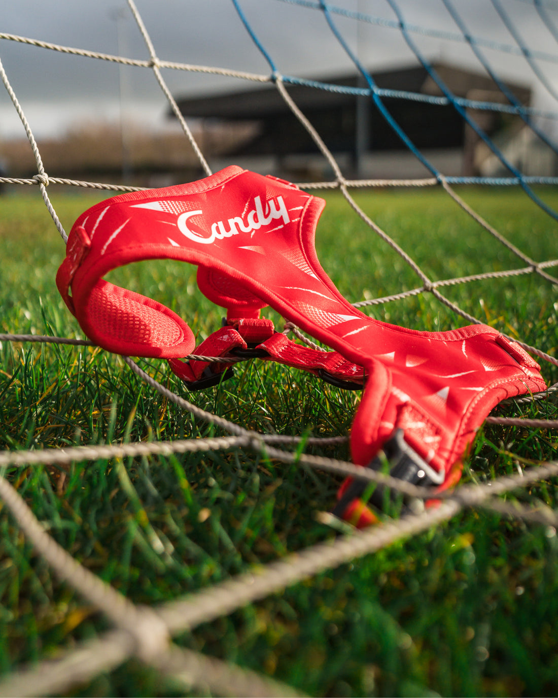 ProMotion Harness - The Rush