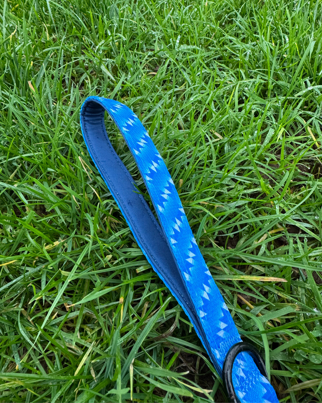 Dog Lead - The Stretford