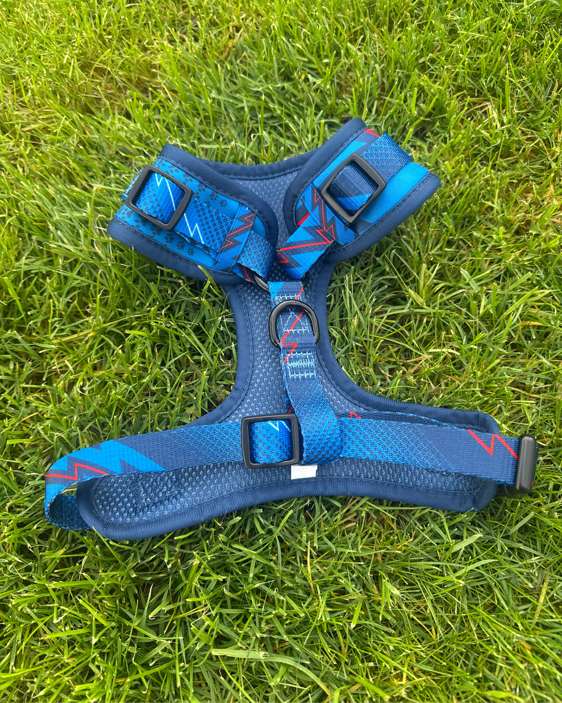 ProMotion Harness - The Bolt