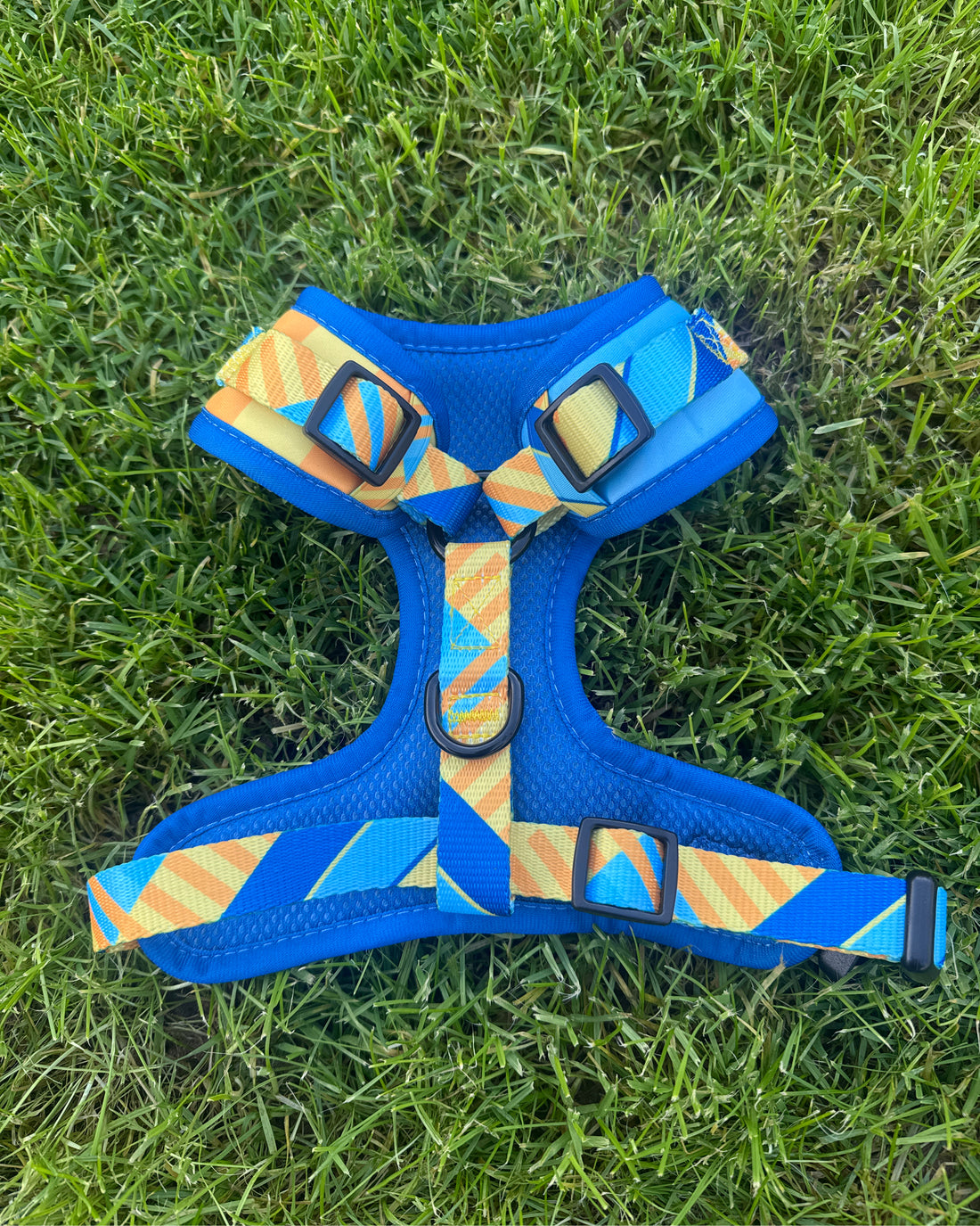 ProMotion Harness - The Maestro