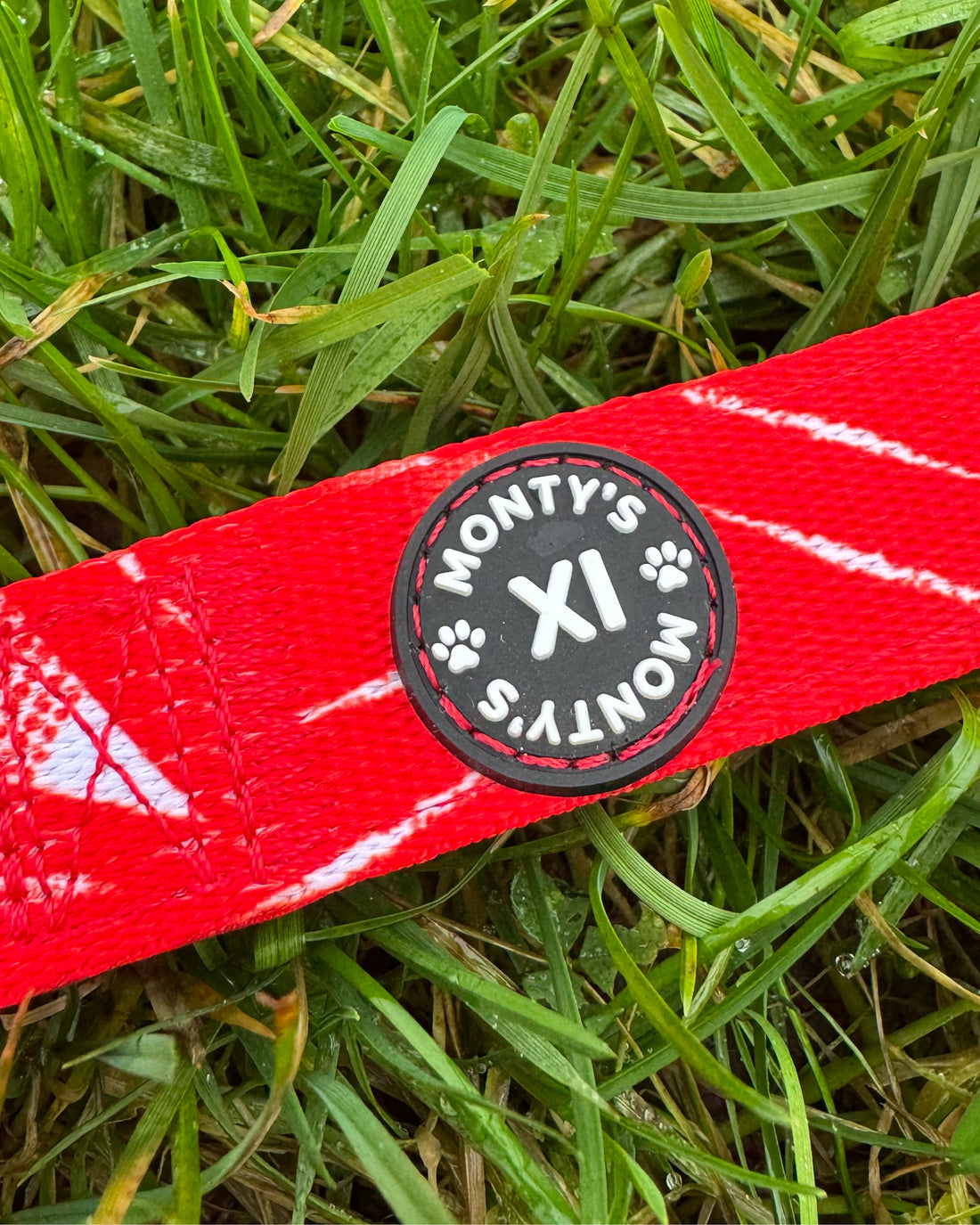 ComfortFit Collar - The Rush