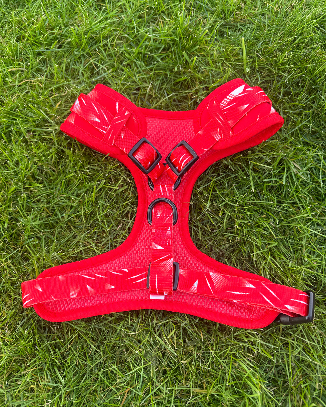 ProMotion Harness - The Rush