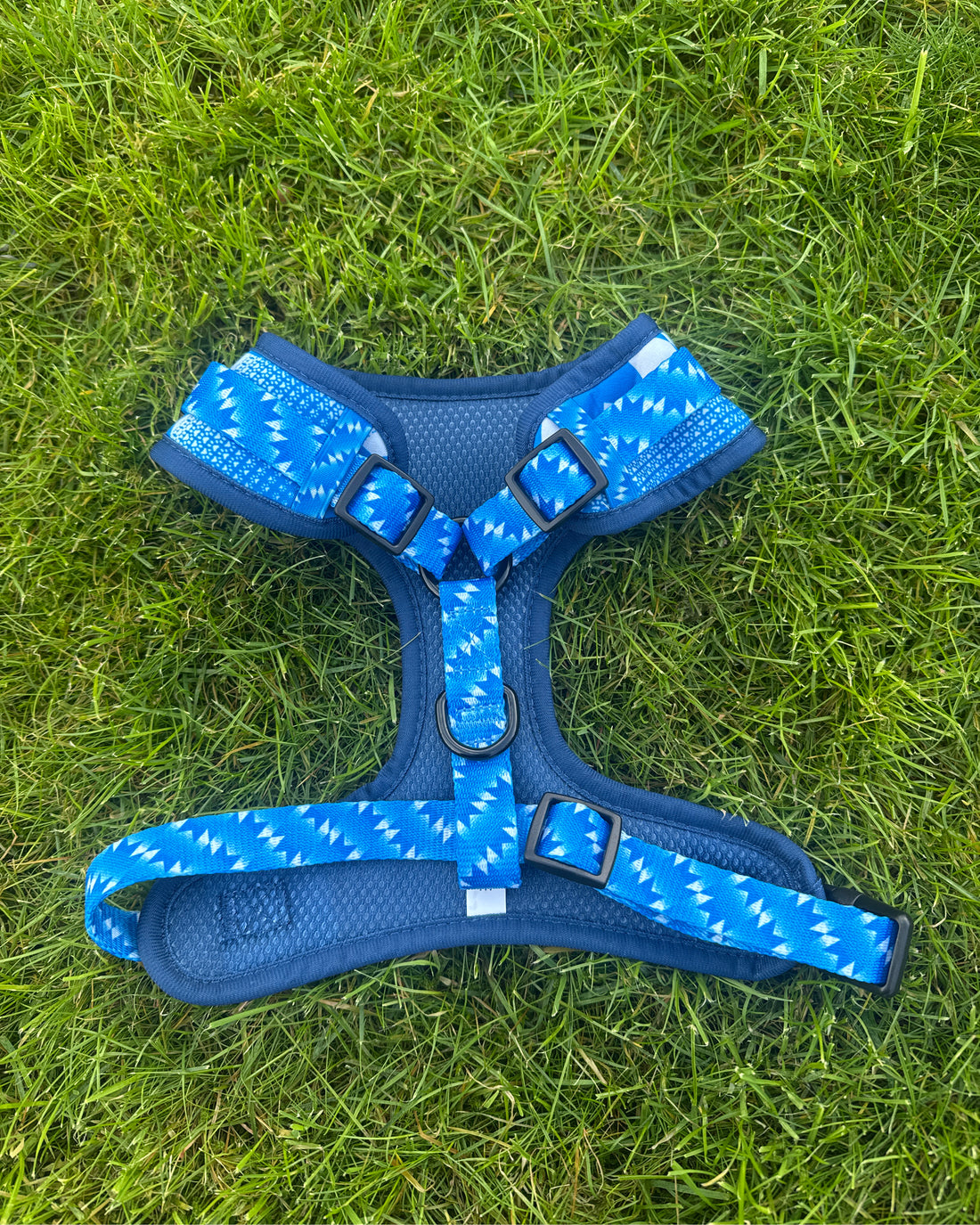 ProMotion Harness - The Stretford