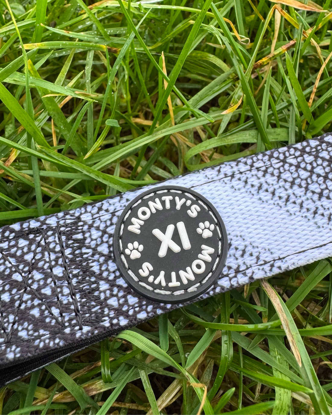 ComfortFit Collar - The Poacher