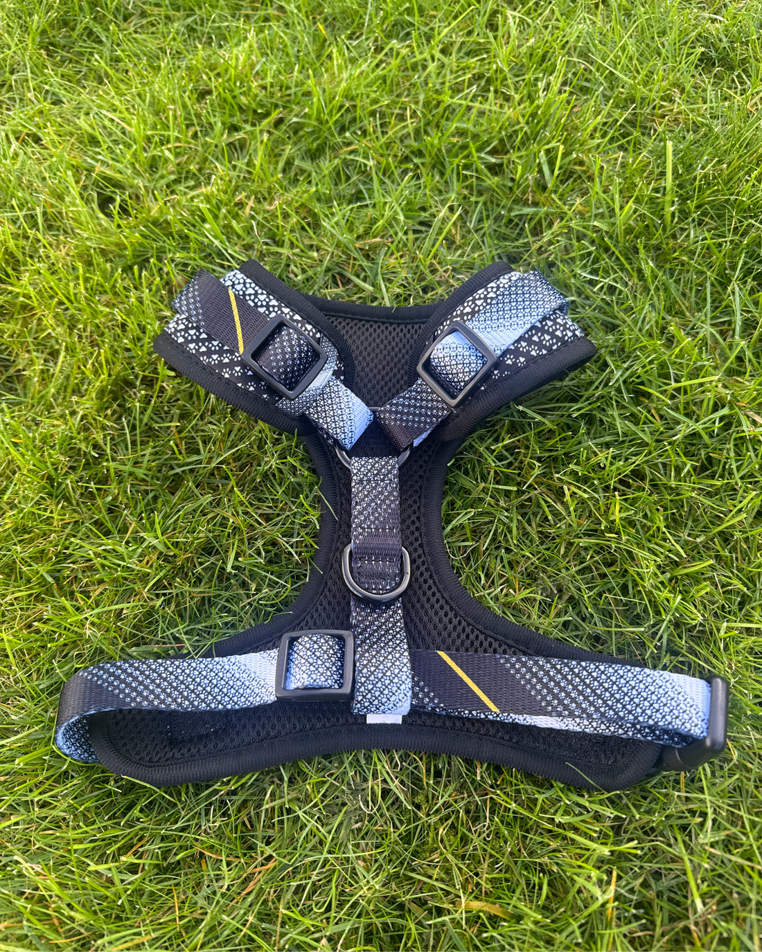 ProMotion Harness - The Poacher