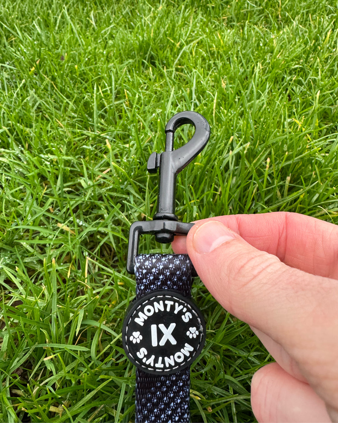 Dog Lead - The Poacher