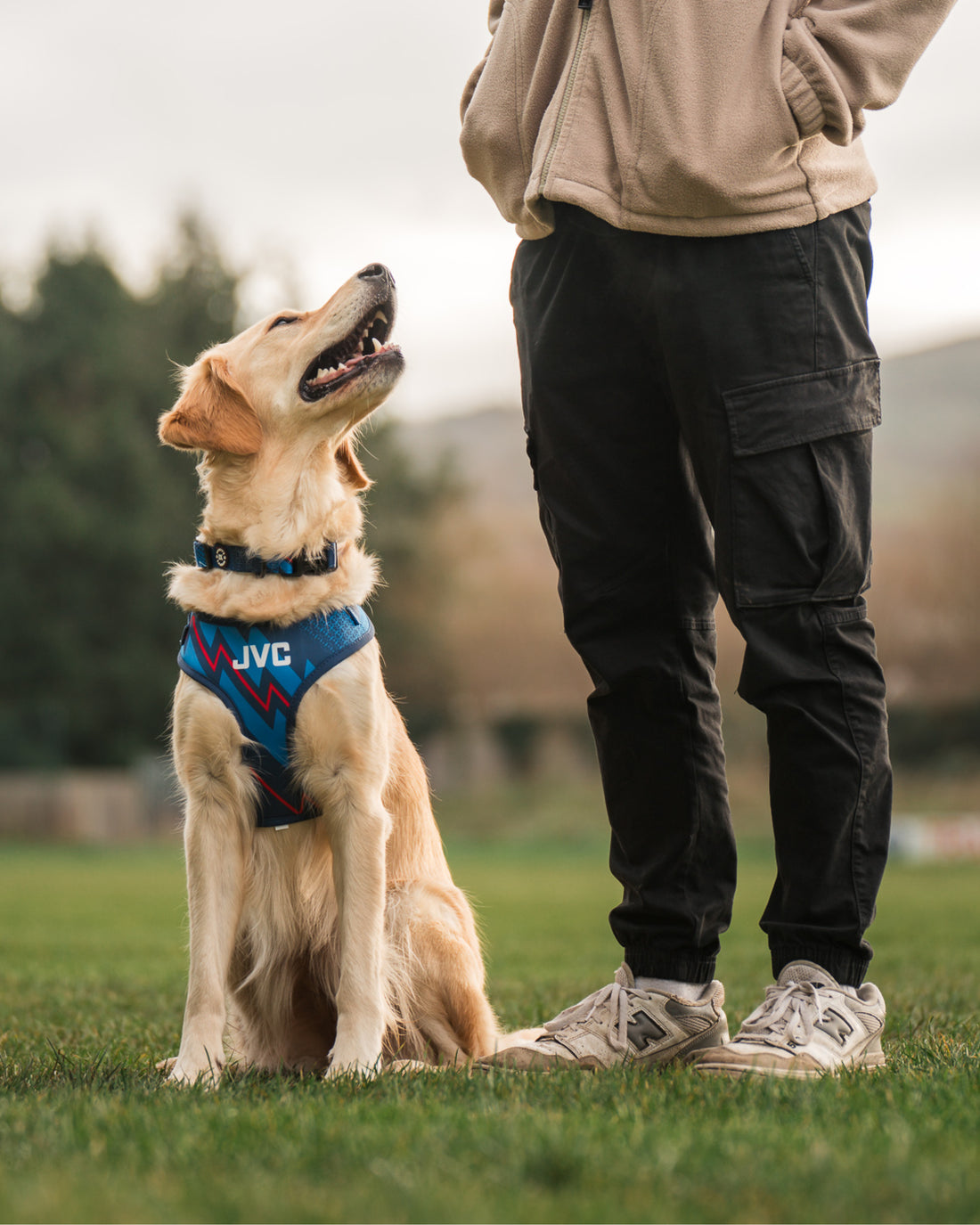 ComfortFit Collar - The Bolt