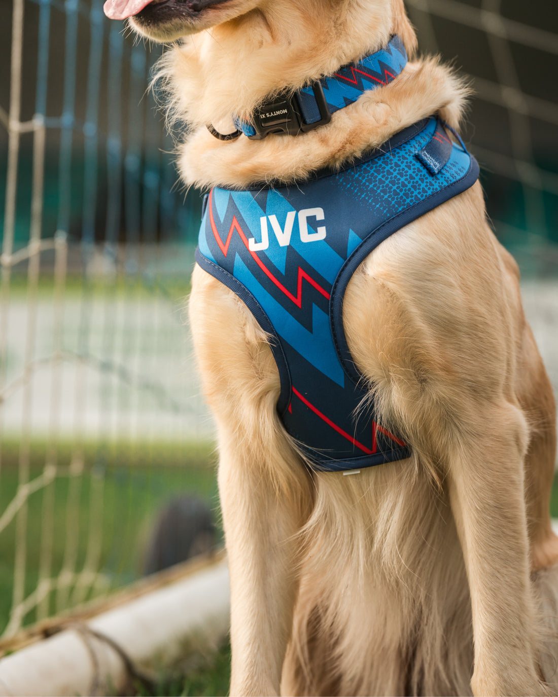 ProMotion Harness - The Bolt