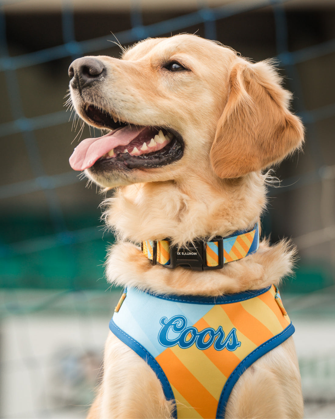 ComfortFit Collar - The Maestro