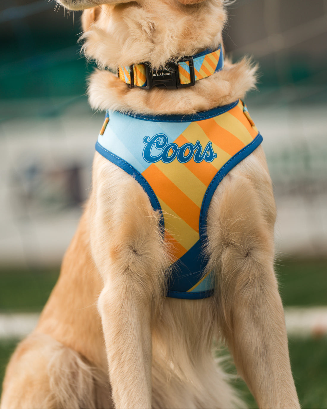 ProMotion Harness - The Maestro