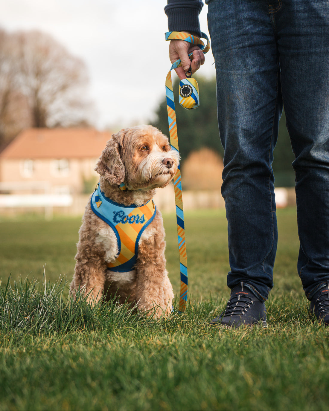 Dog Lead - The Maestro