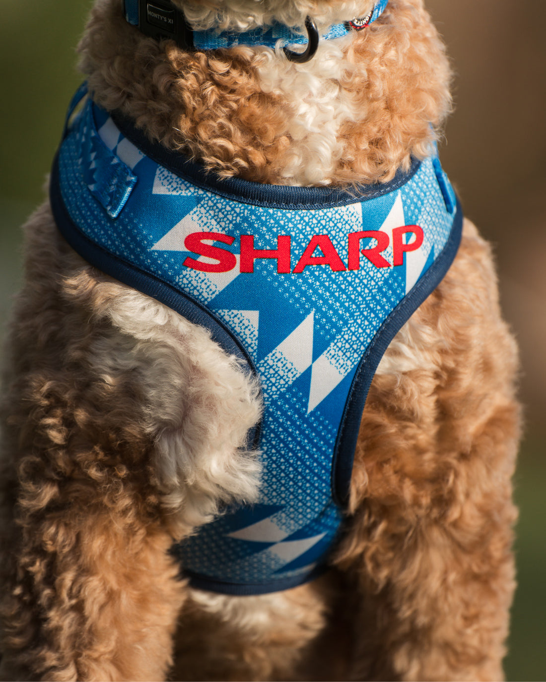 ProMotion Harness - The Stretford