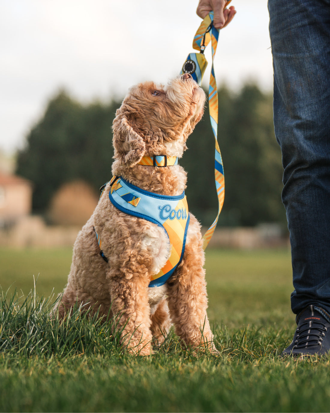 ComfortFit Collar - The Maestro