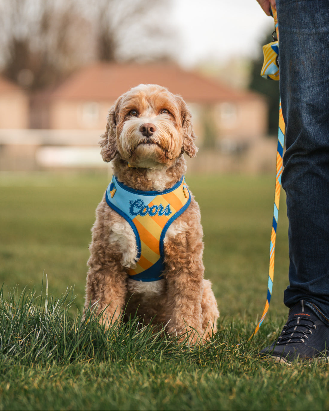 ProMotion Harness - The Maestro