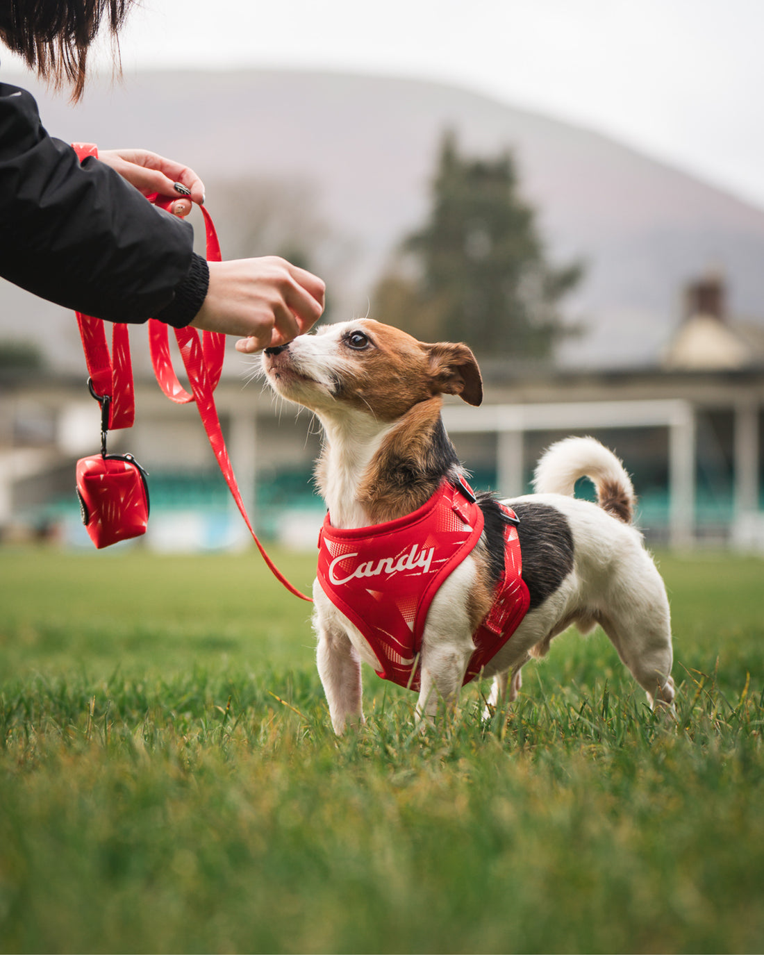 Poo Bag Holder - The Rush
