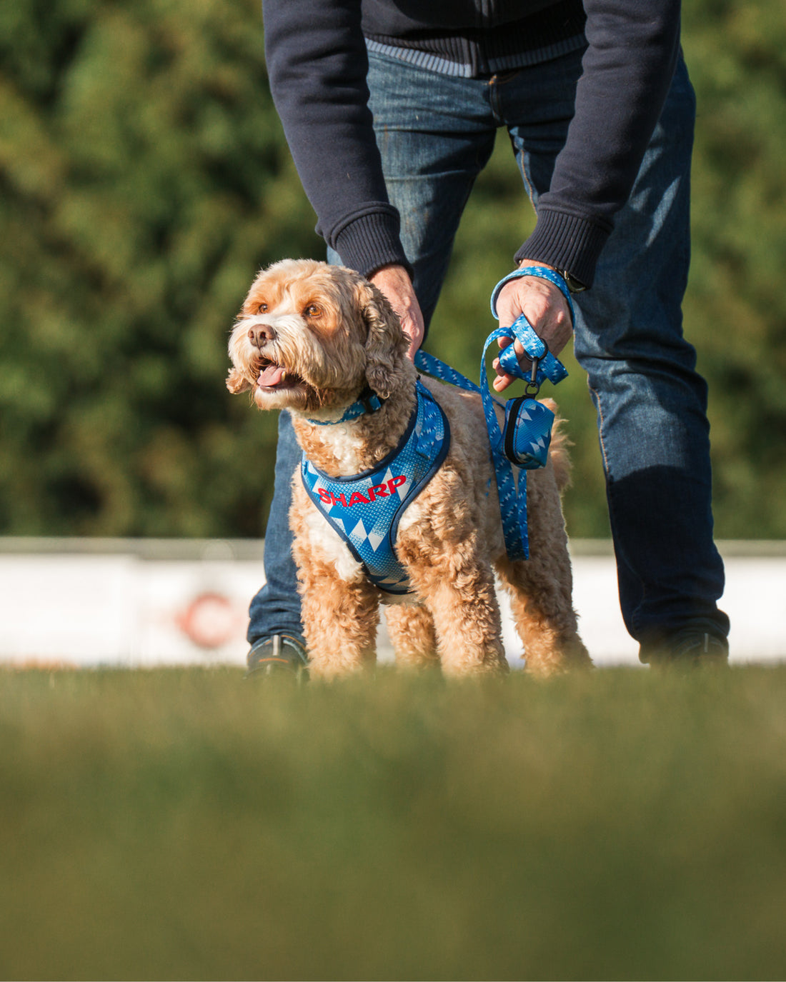 Poo Bag Holder - The Stretford