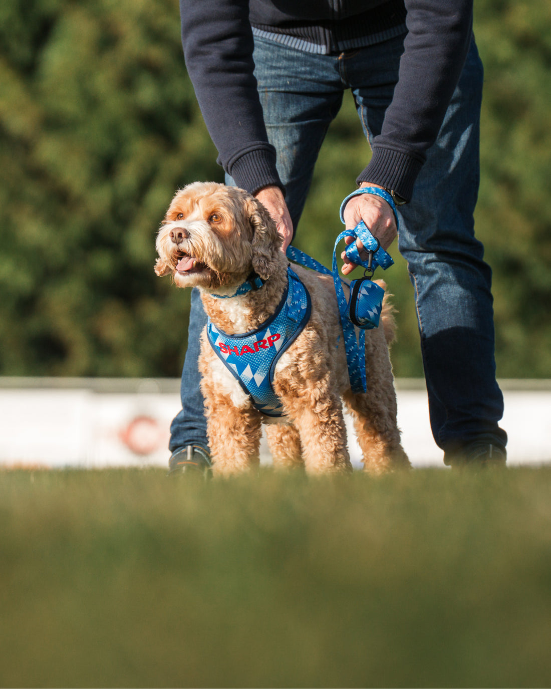 ComfortFit Collar - The Stretford